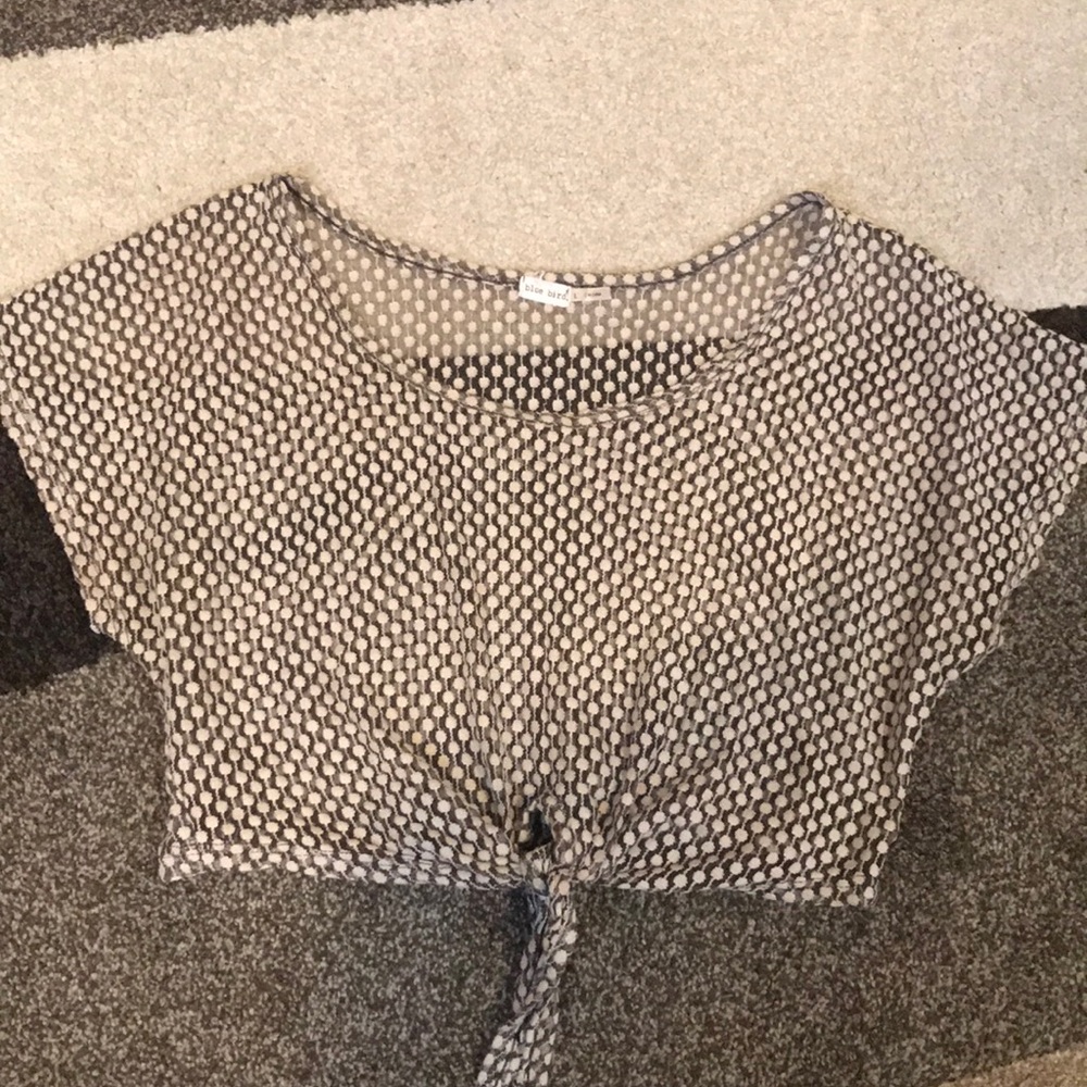 Sheer crop top